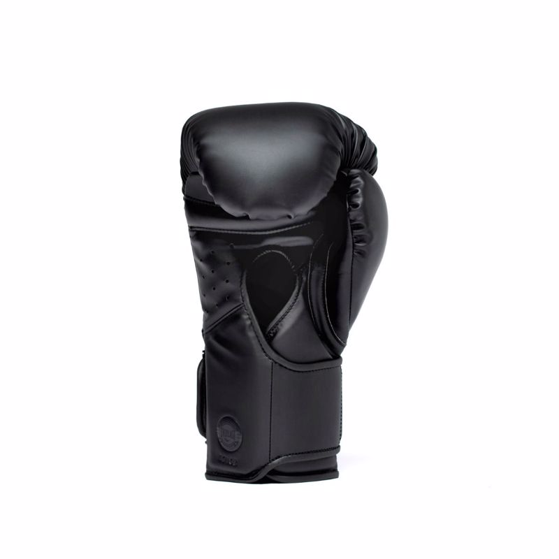 Everlast Elite 2 Pro Boxing Gloves H&L